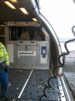 Mac Entladung im Flugzeug 