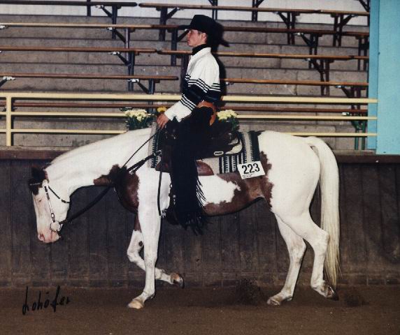 nachzucht-bild9-gross